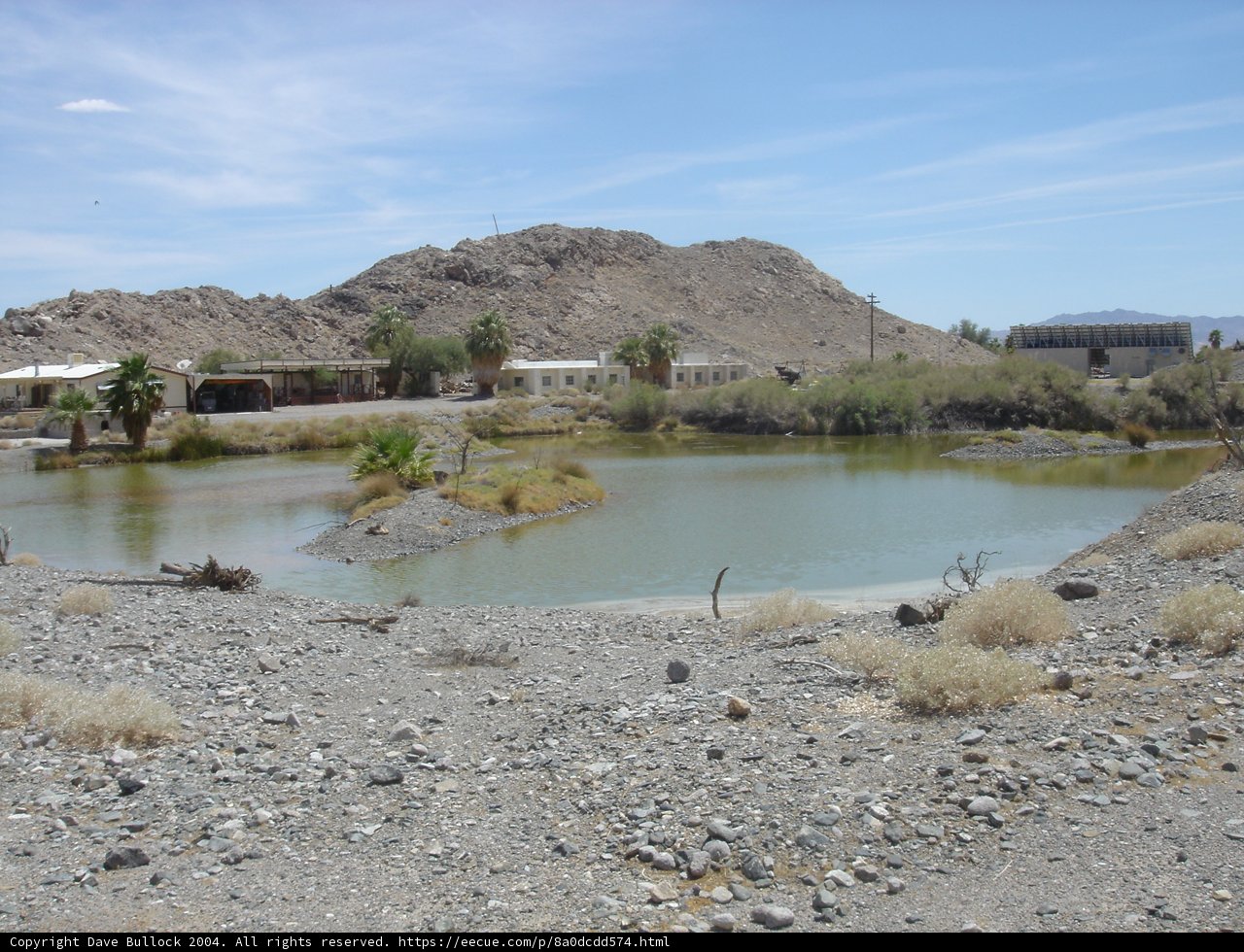 Tranquil Pond in a Desert Oasis