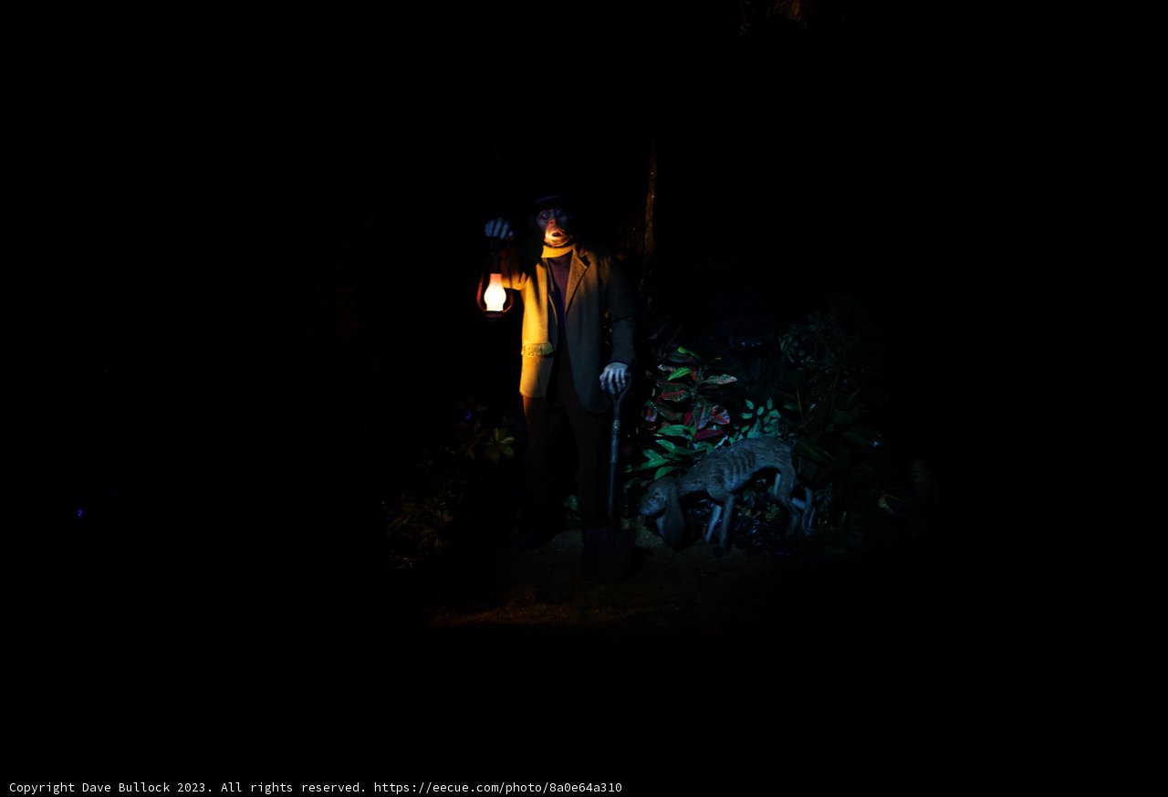 The Enigmatic Lantern Bearer