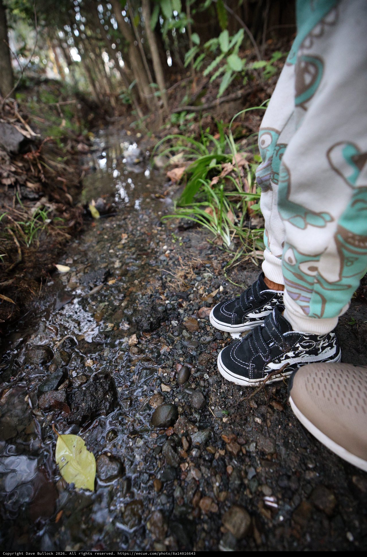 Child Exploring Muddy Creek Stream in Nature