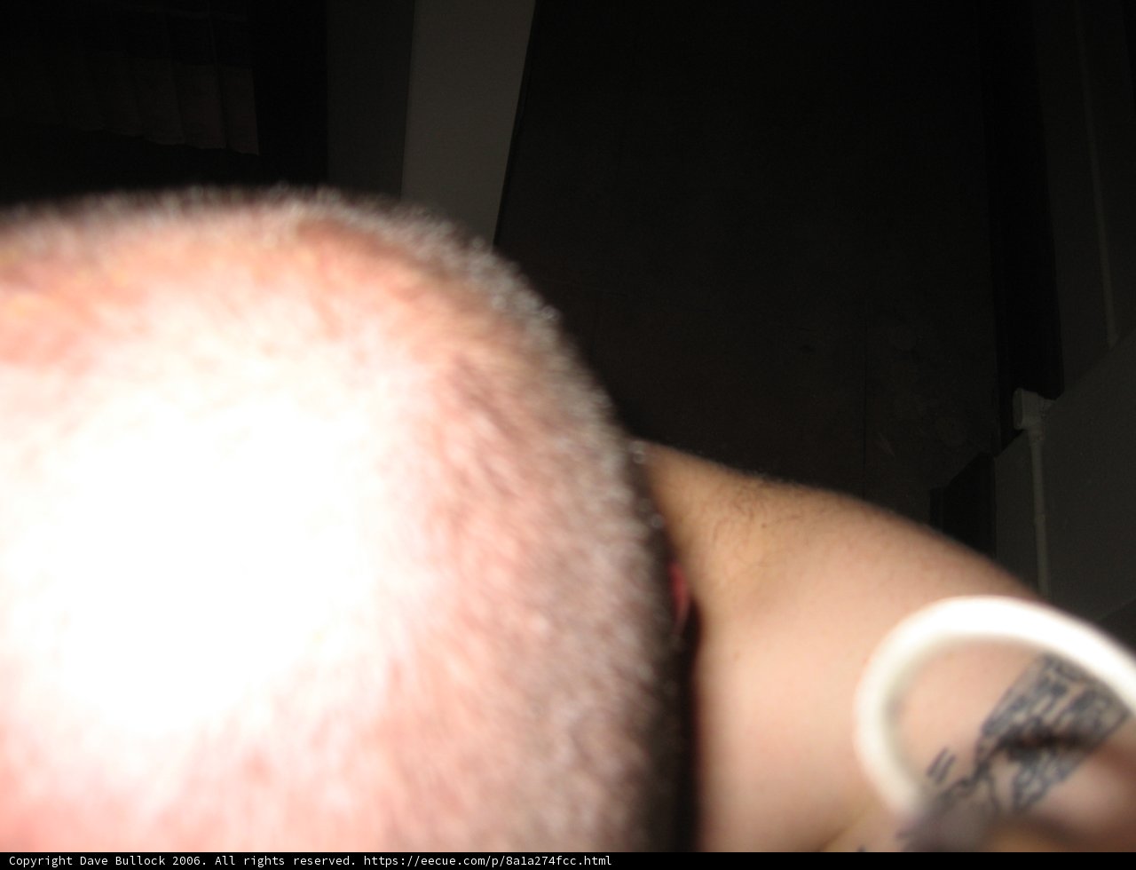 Bald Man with a Tattooed Skin