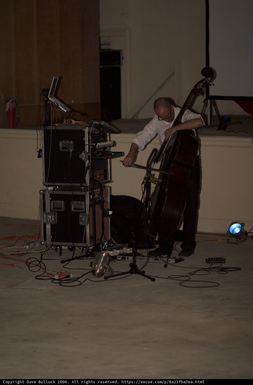 Double Bass Serenade