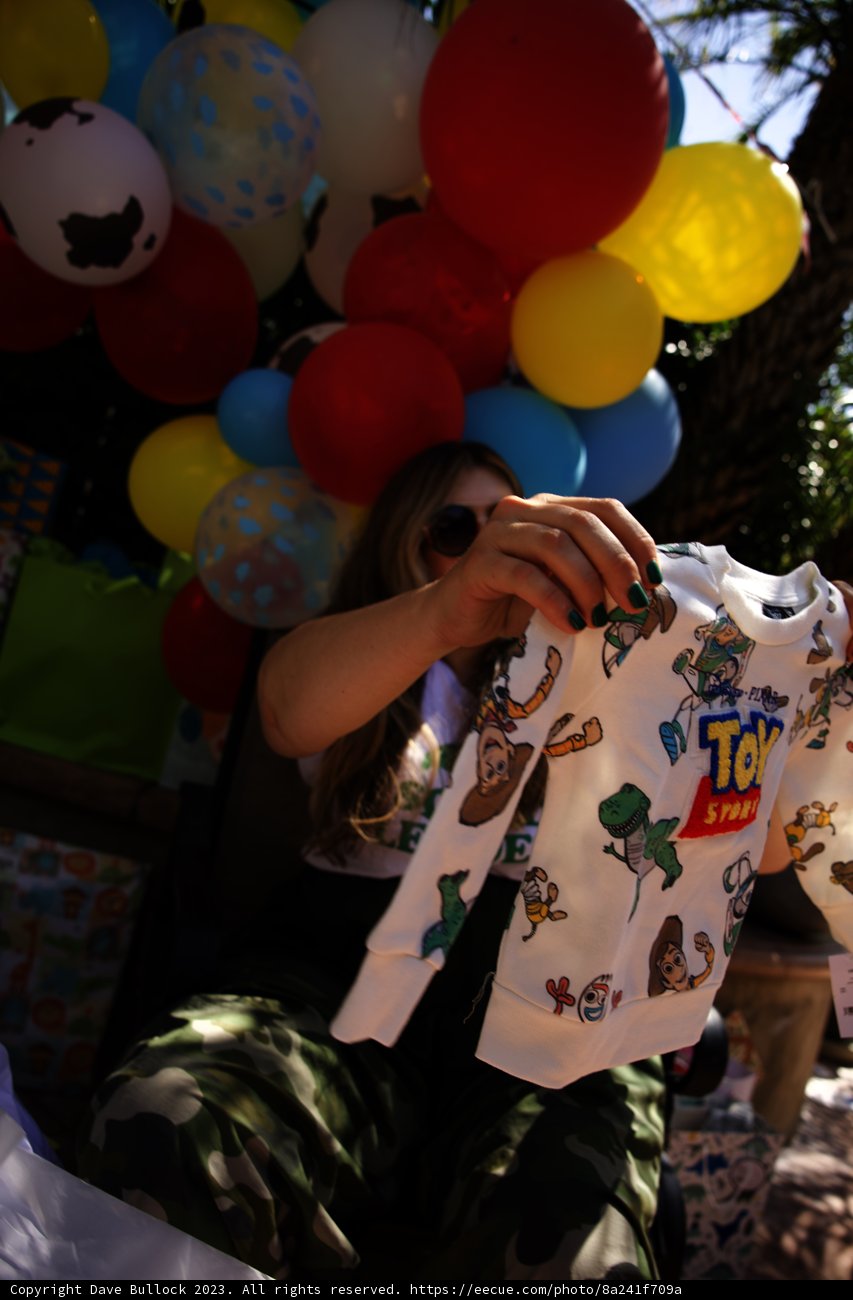 The Balloon Lady at Wesley's First Birthday Party