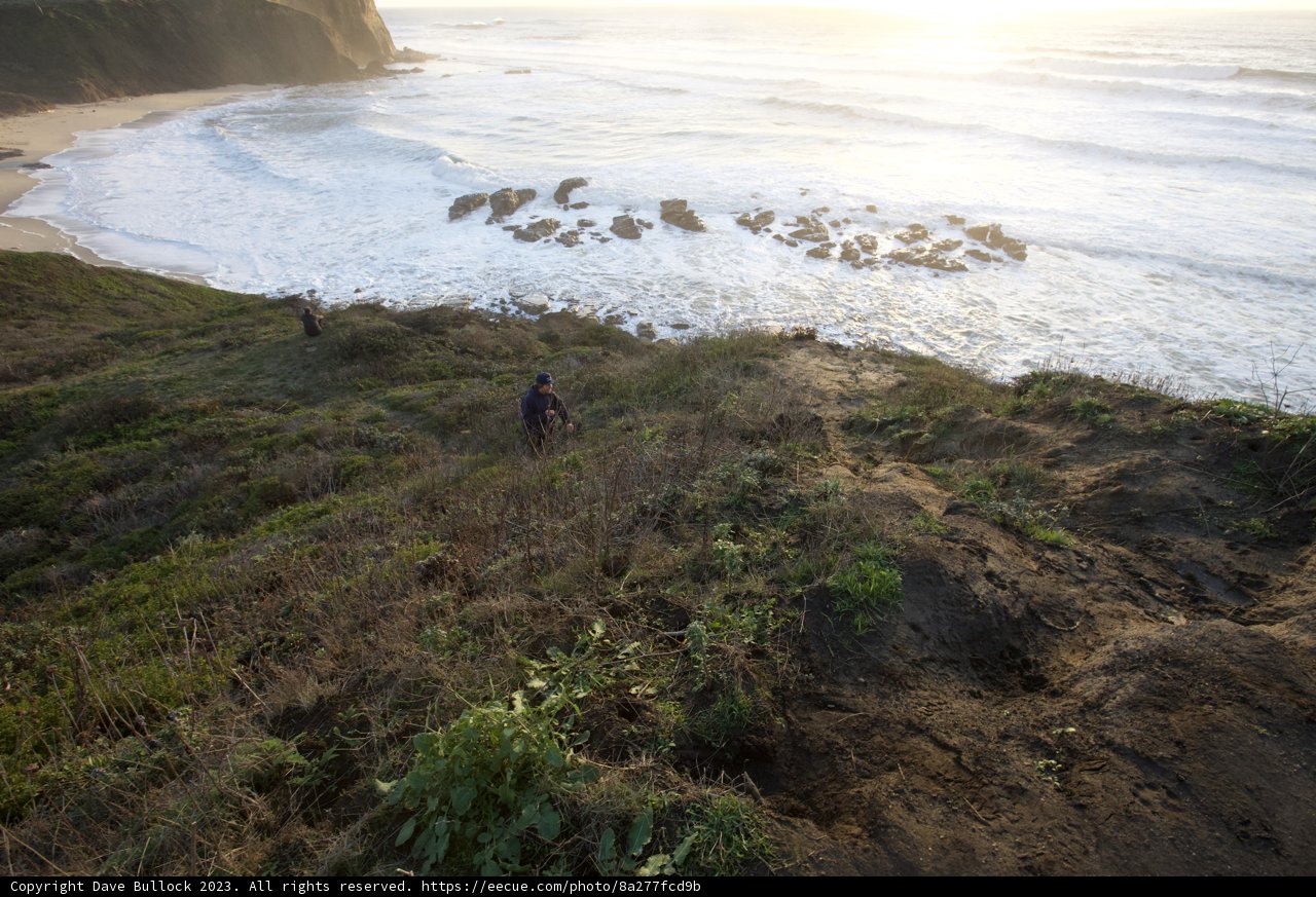 Tranquil Trek Along the Ocean Trail