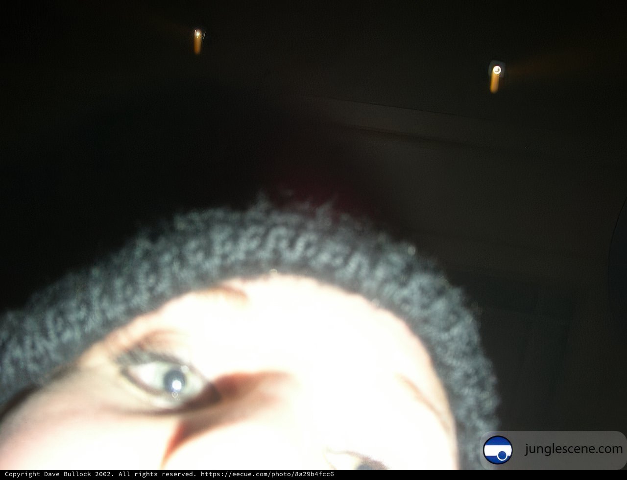 Up Close and Personal
