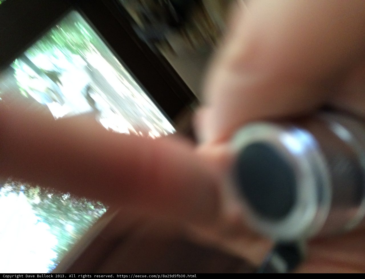 Capturing Memories