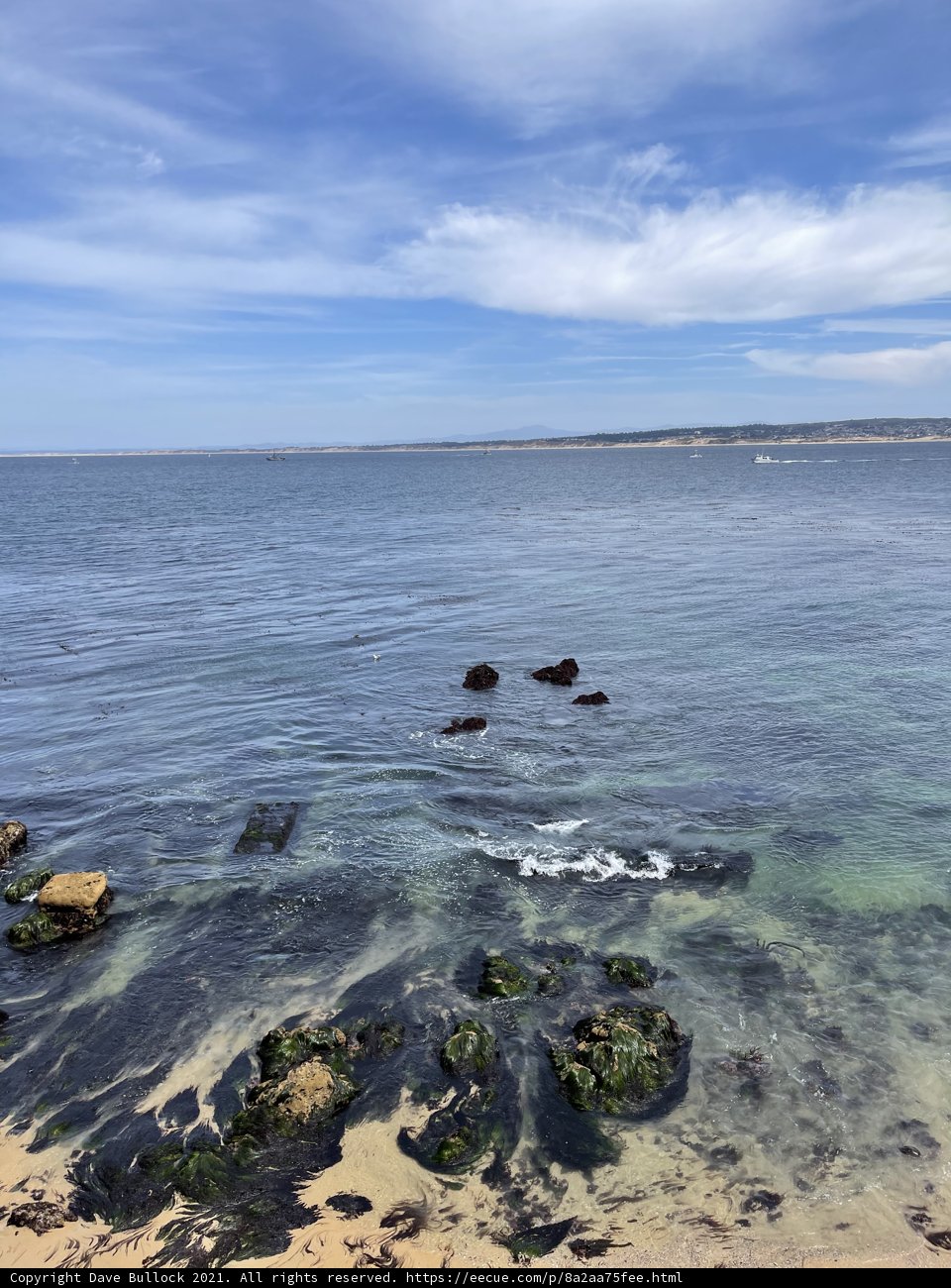 Serene Seascape