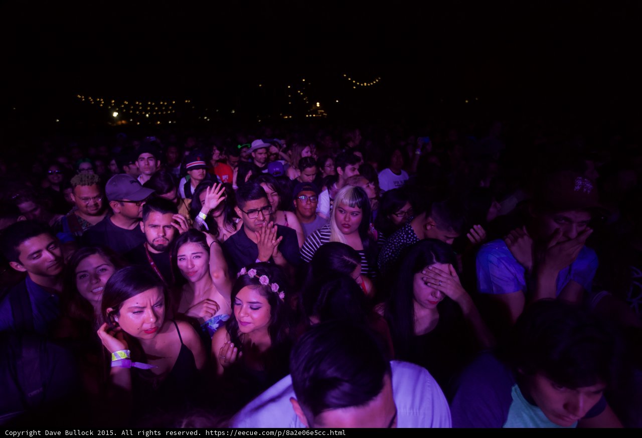 Festival Crowd in Purple Light