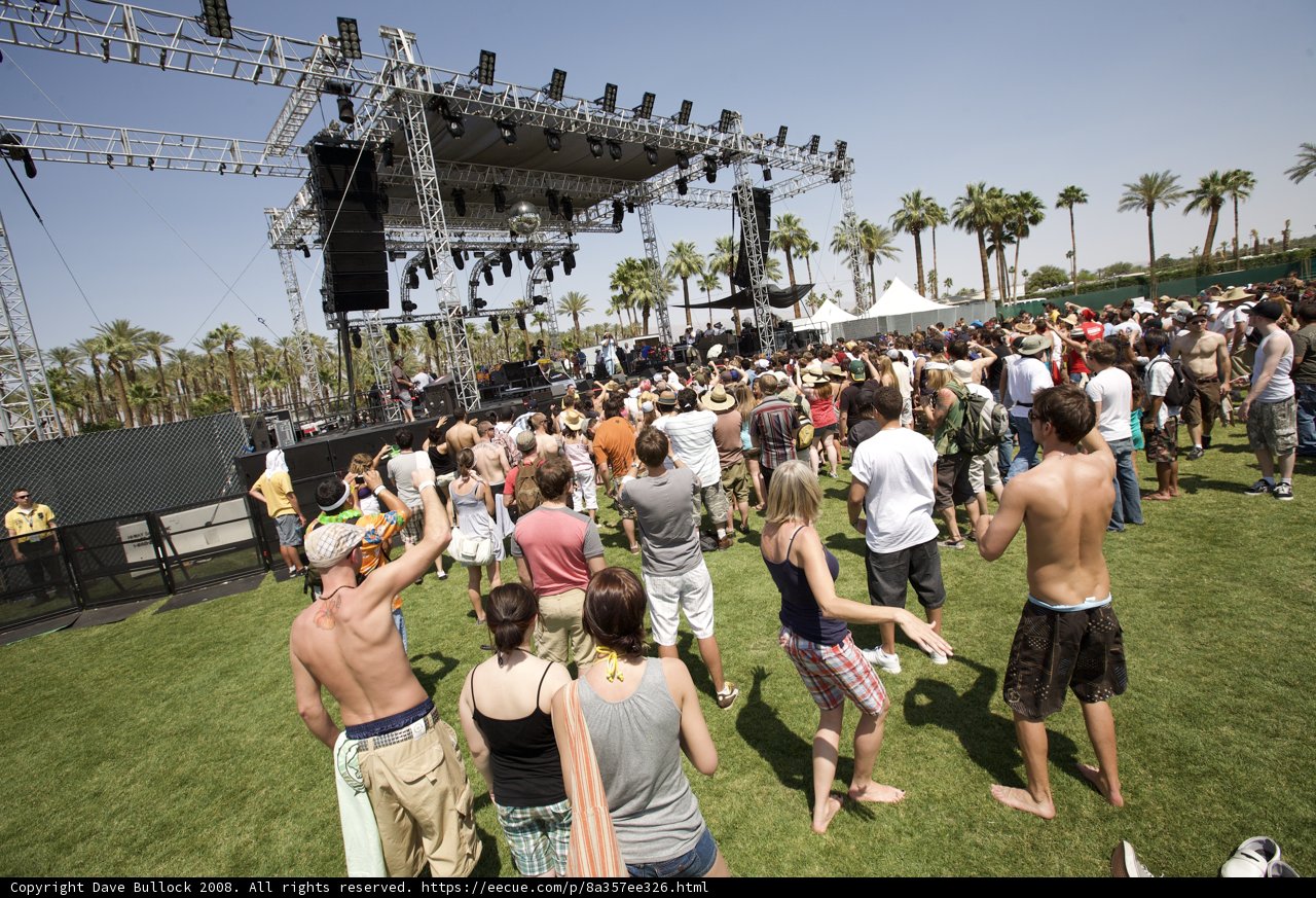Festival Fun in the Sun