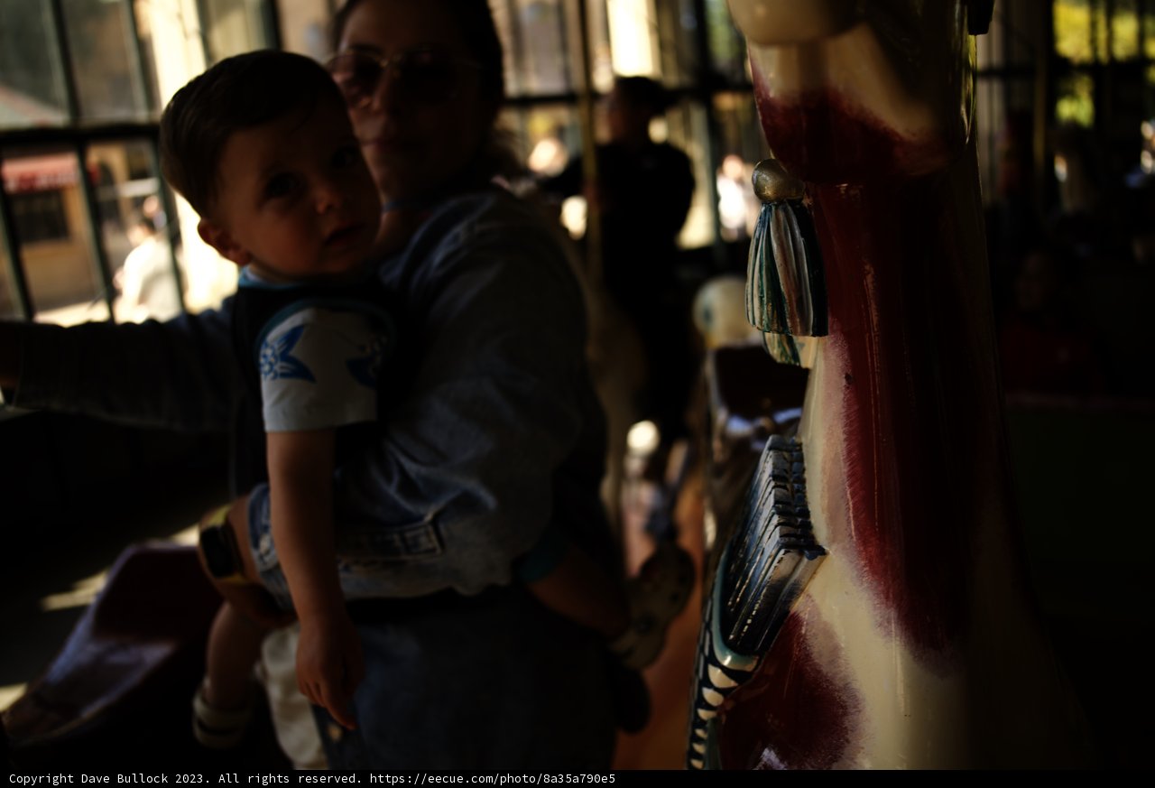A Joyous Carousel Romp at Golden Gate Park