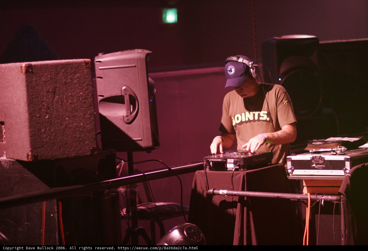 Green Shirted Deejay Beats for the Crowd