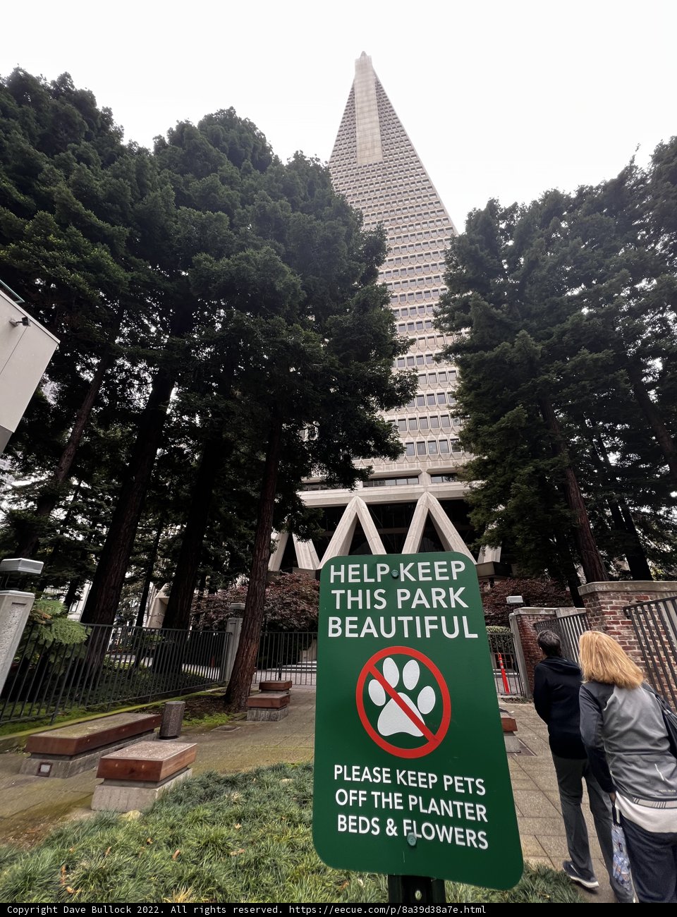 No Dogs Allowed