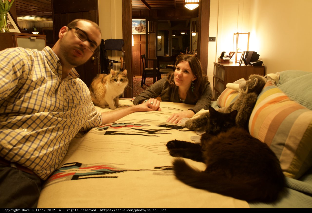Couple and Their Cats Relaxing on Cozy Bed