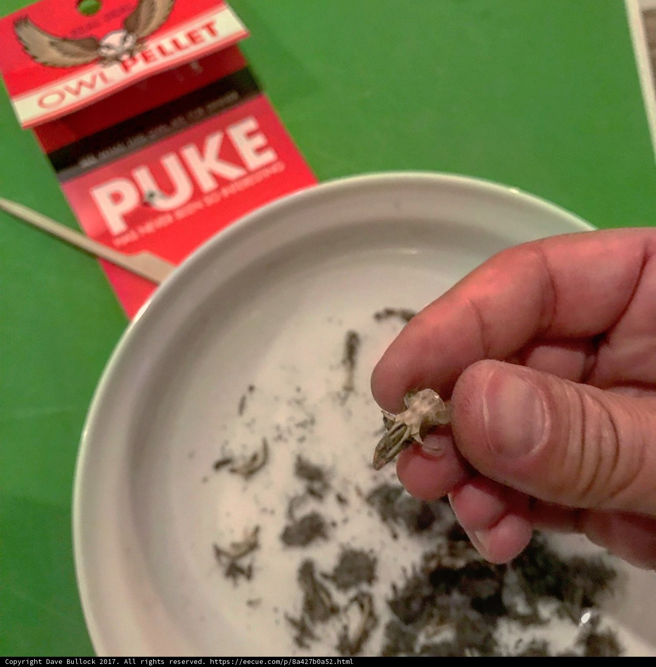 Tobacco on Hand