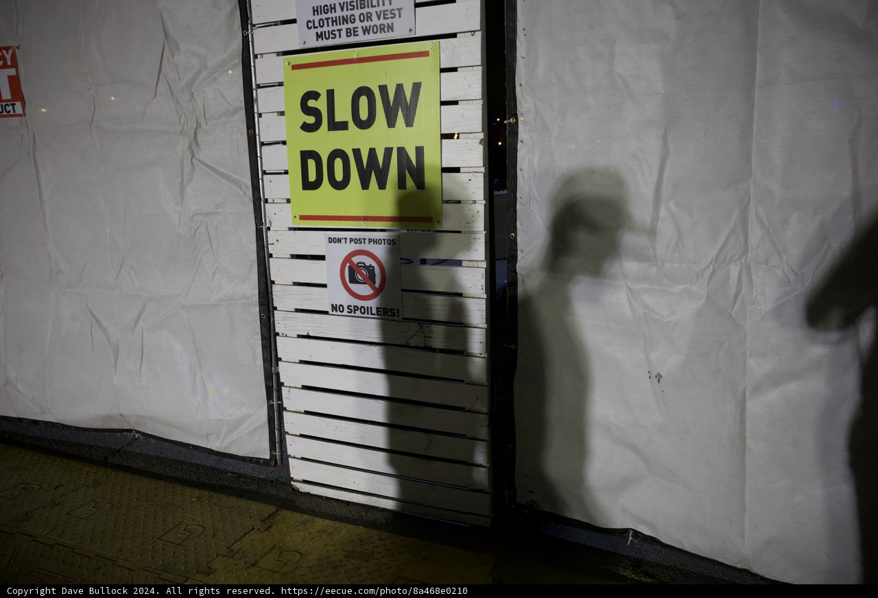 Mystery at the Night Festival: The Silent Observer