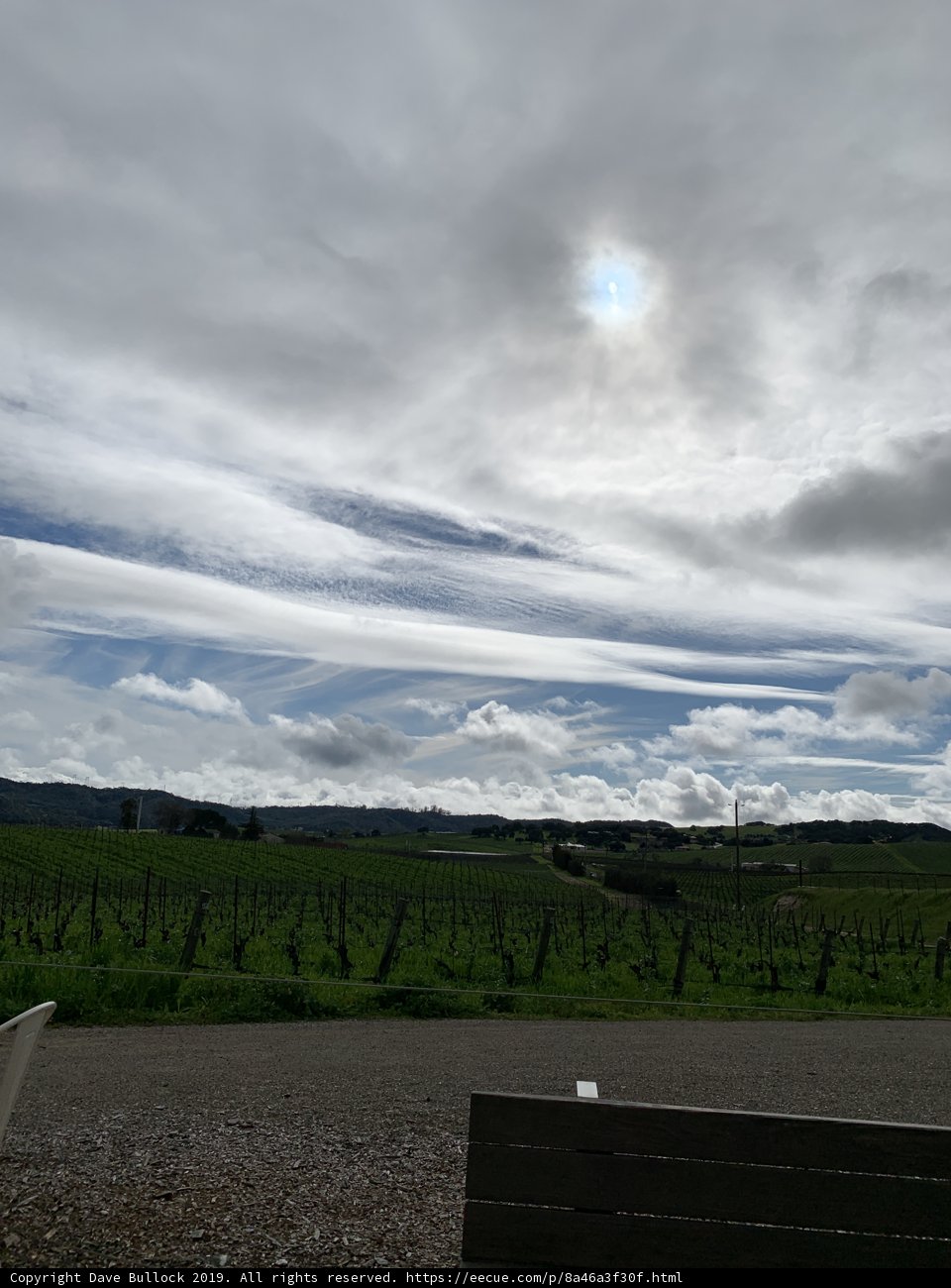 Clouds Roll Over Serene Vineyard