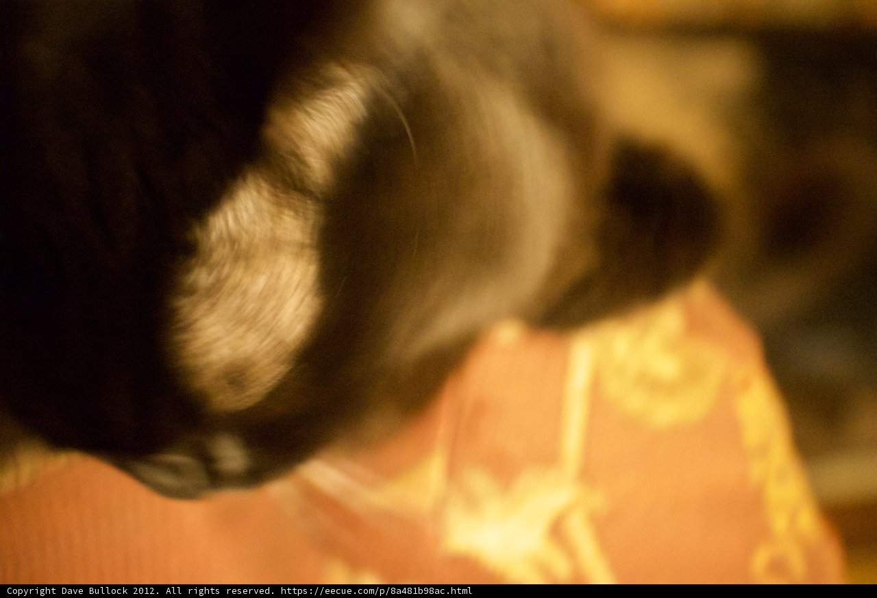 Feline Frenzy
