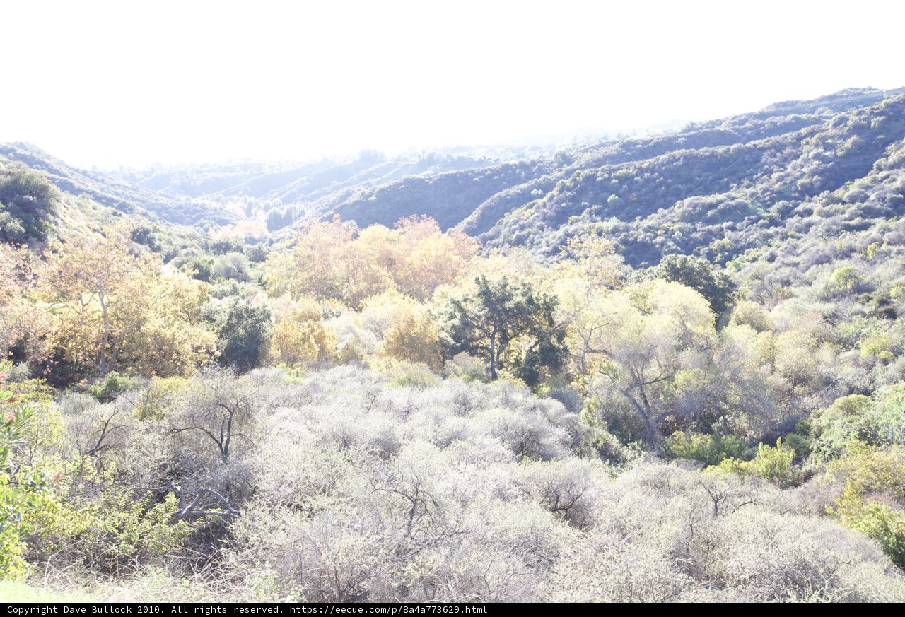 Serene Valley