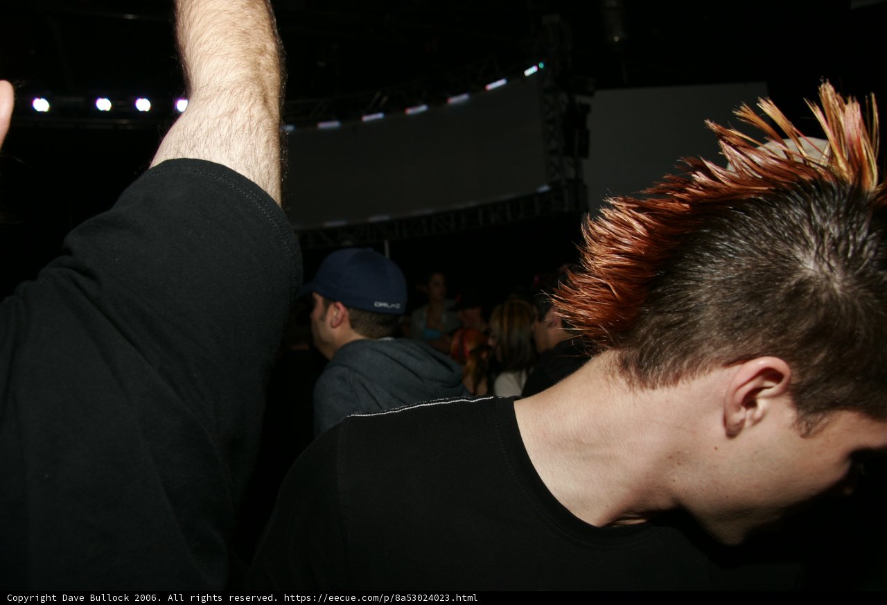 A Mohawked Night Out