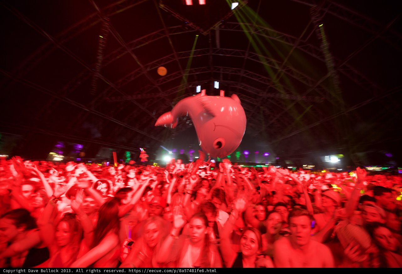 2013 Coachella Crowd