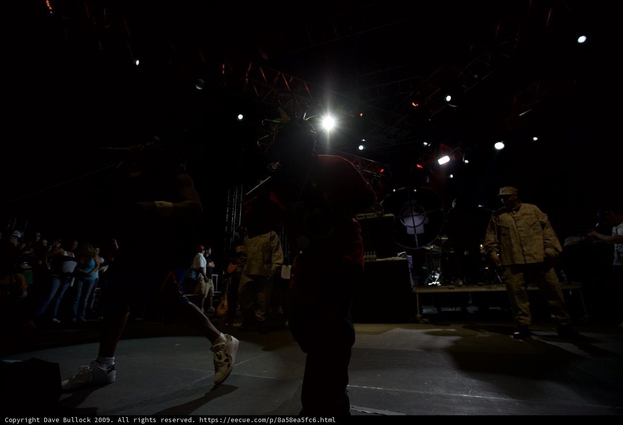 Spotlight on the Concert Crowd
