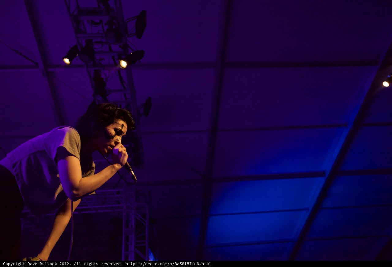 Spotlight on Singer at Coachella 2012