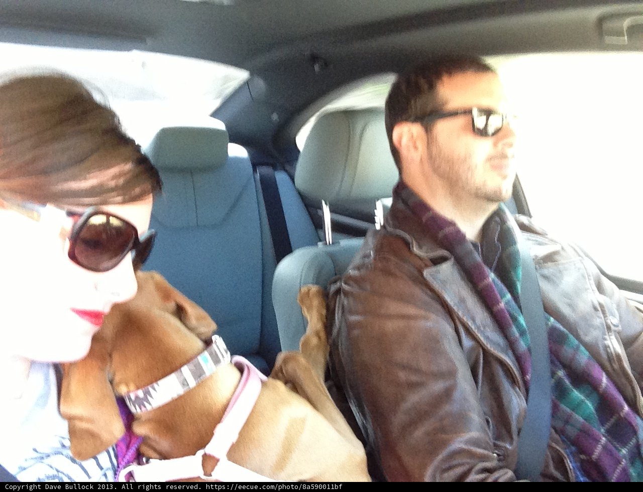 Cruising with our furry friend