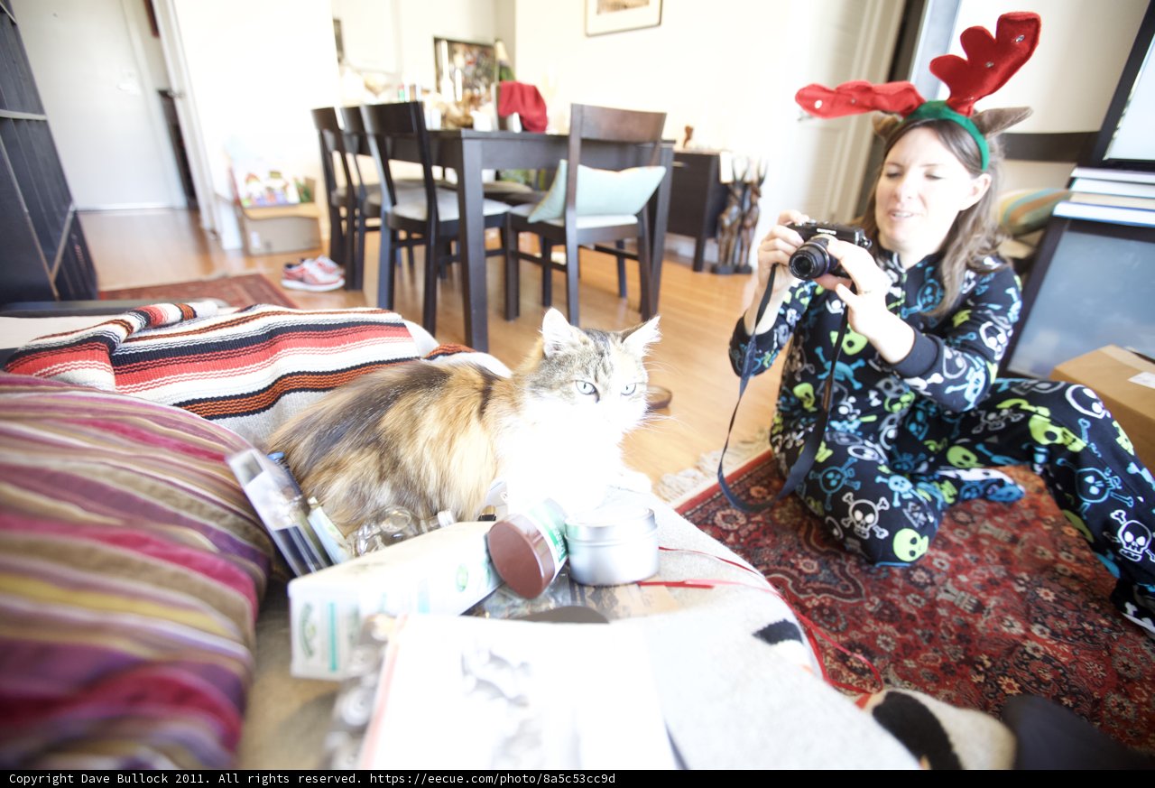 Cozy Christmas Day