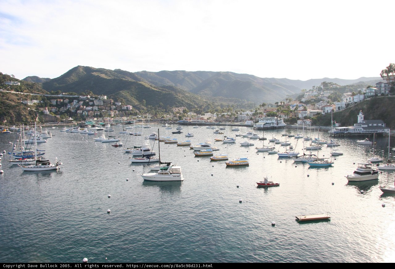 Serene Harbor View
