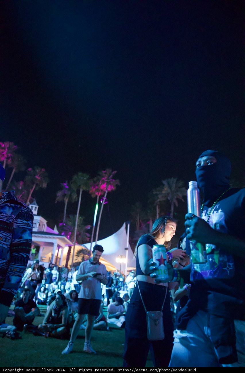 Night Vibes at Coachella 2024: Under the Palm Trees
