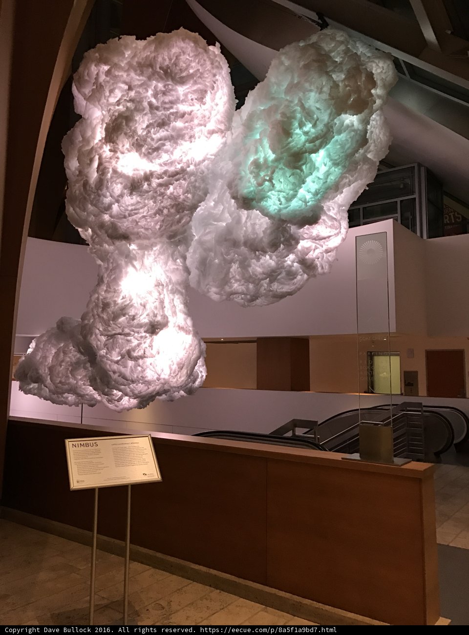 The Mystical Cloud Inside Walt Disney Concert Hall