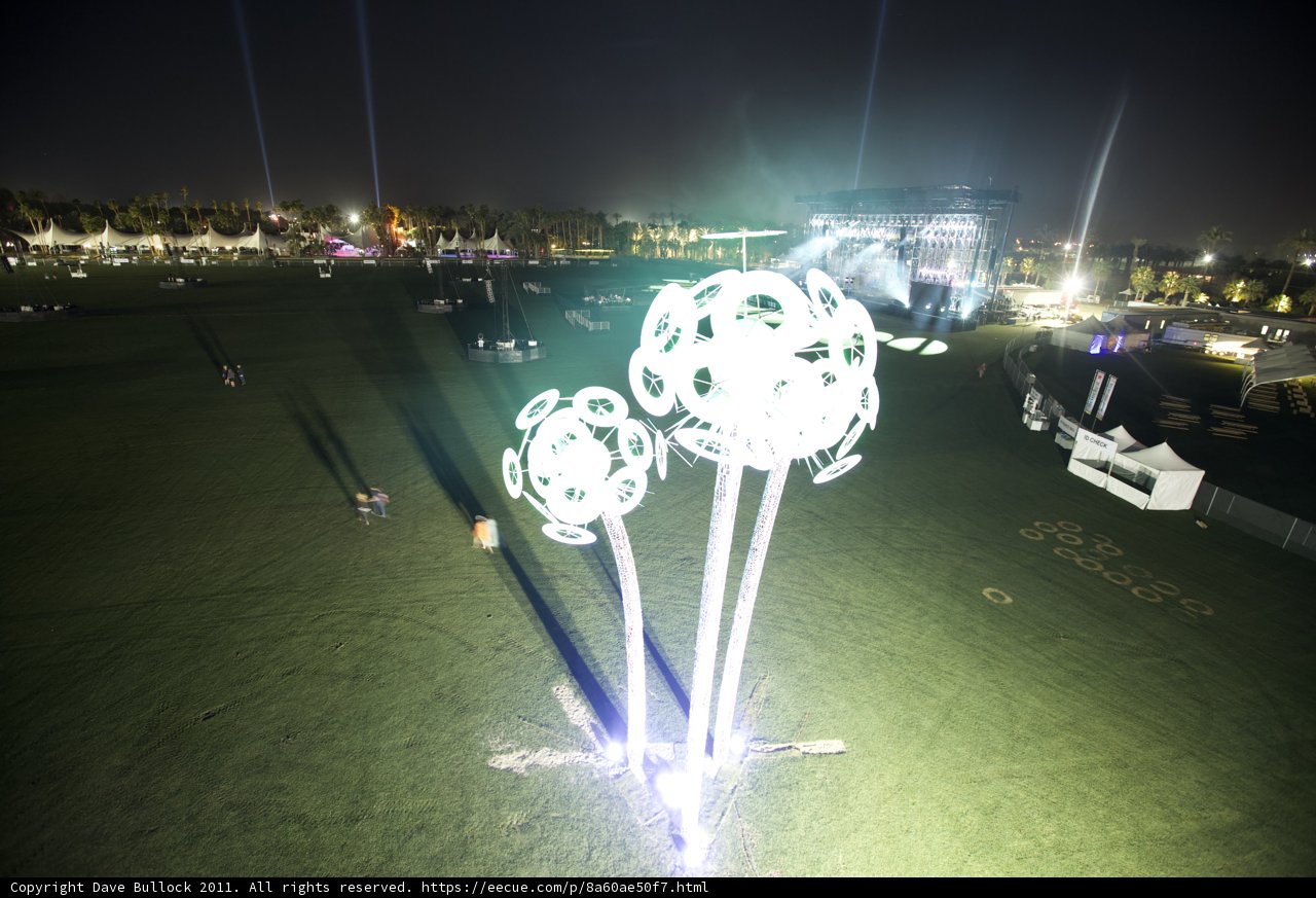 Glowing Wonderland on the Grass