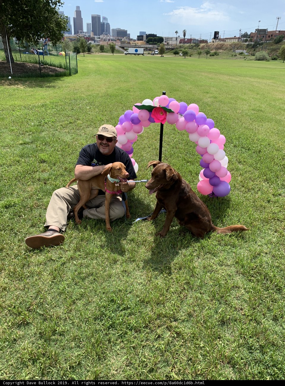 Under the Pink Arch