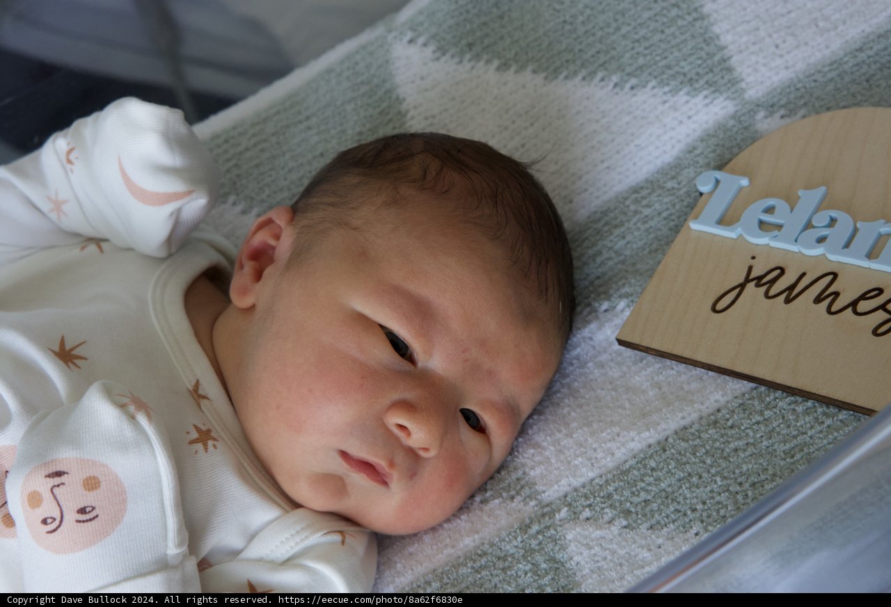 Welcome to the World, Leland