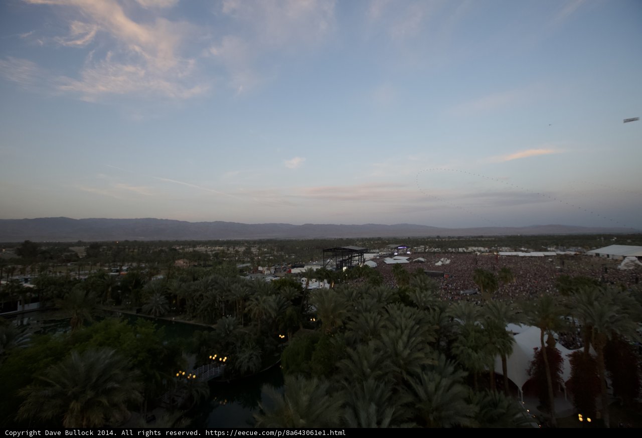 The Serene Mountains and Palmscape