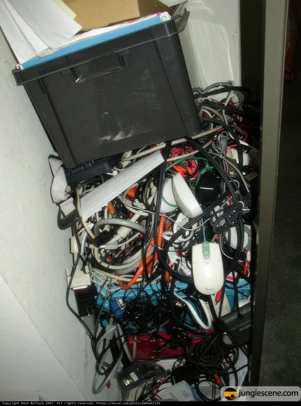 Tangled Tech
