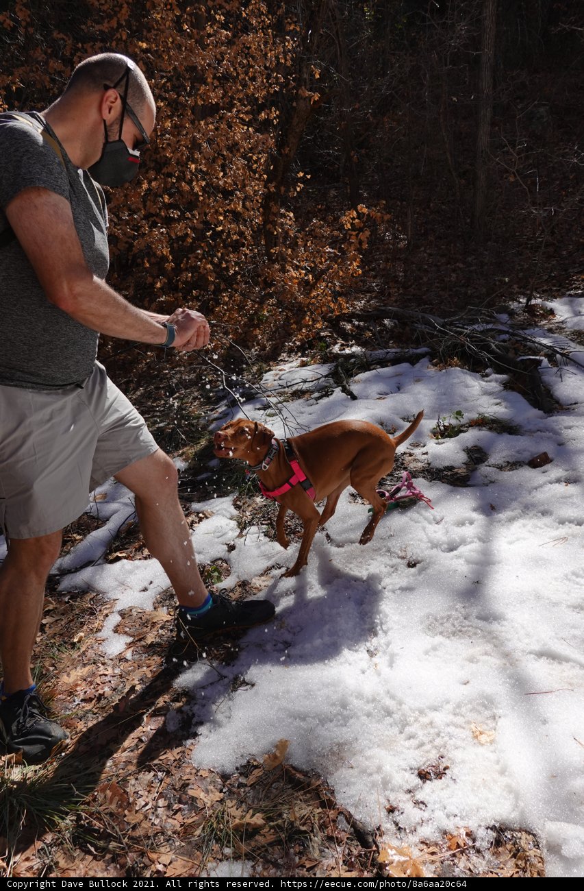 Winter Walkies in Coconino National Forest