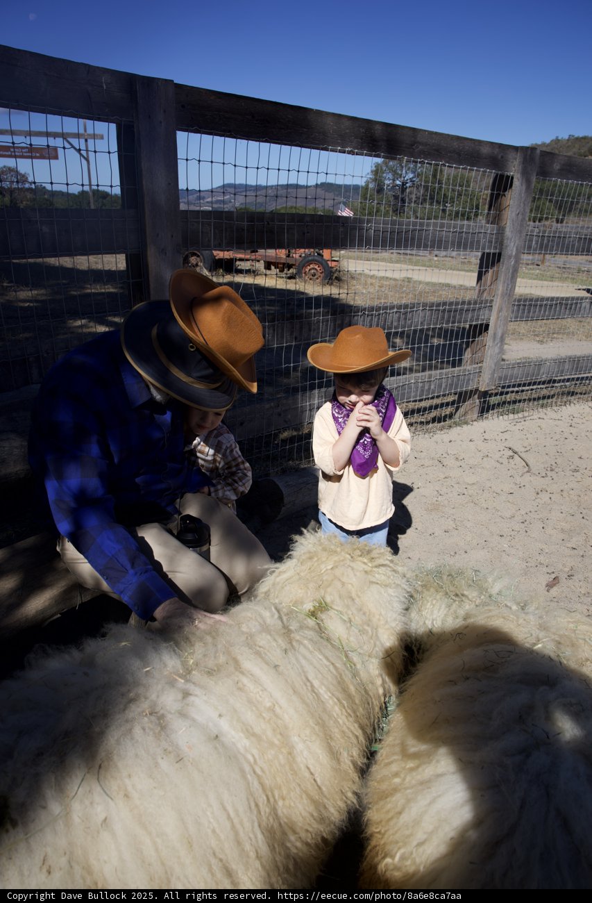 Ranch Day in Carmel Valley