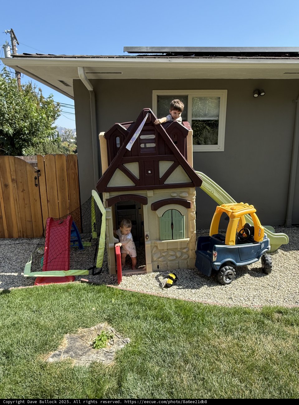 Backyard Adventures
