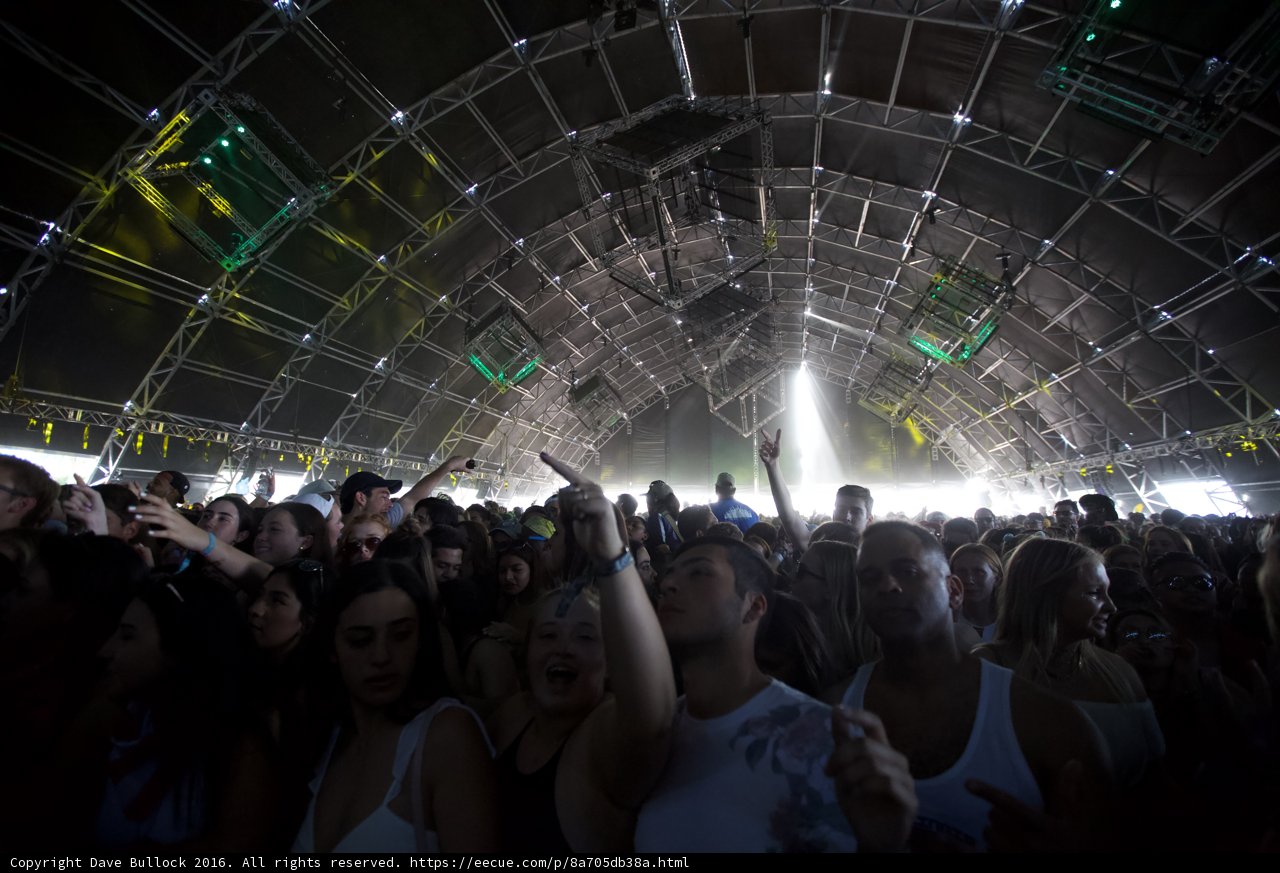 Urban Concert Crowd