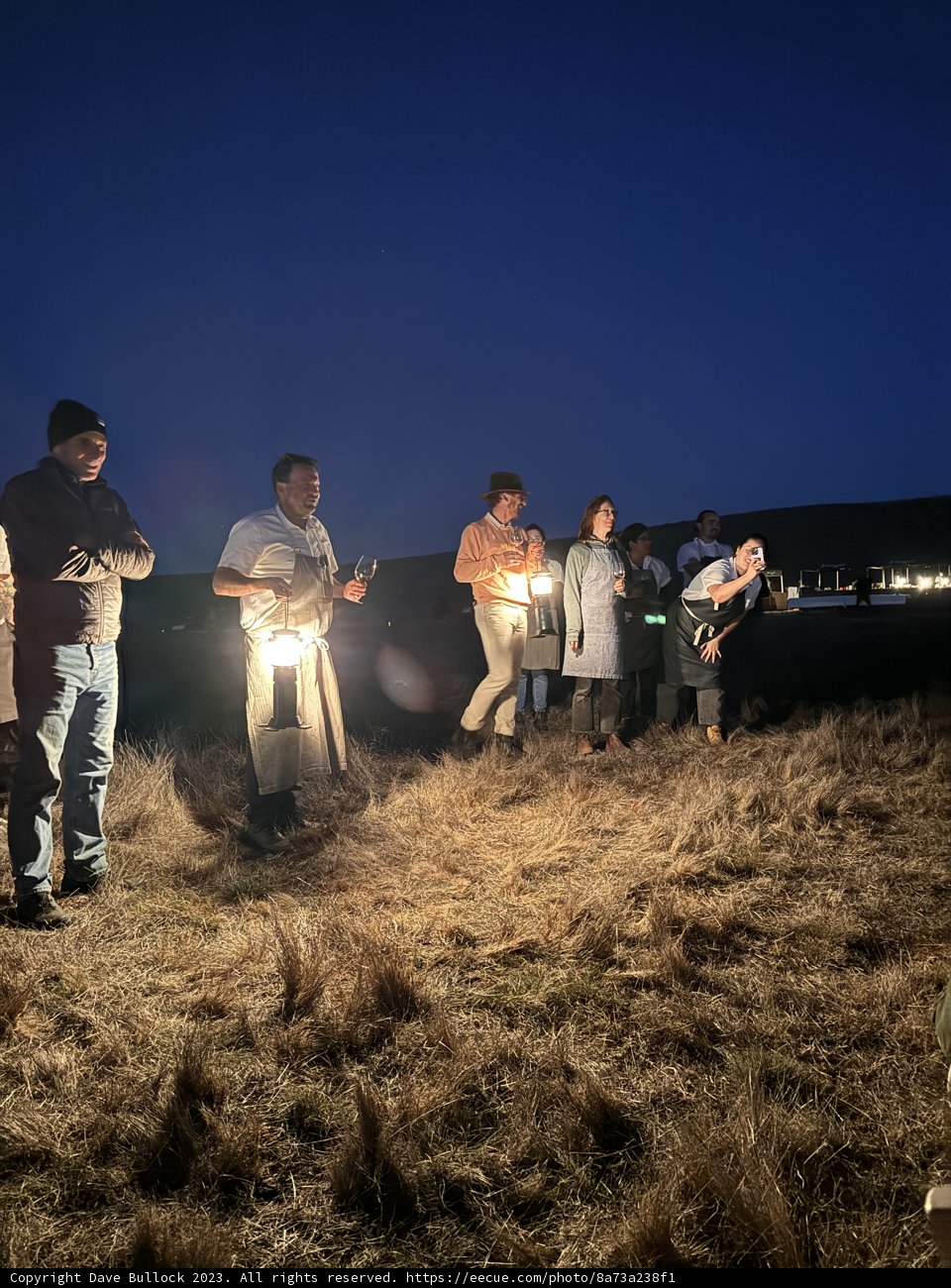 Illuminated Gathering Under the Californian Sky