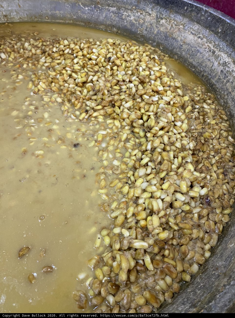 Bountiful Bowl of Corn Grains