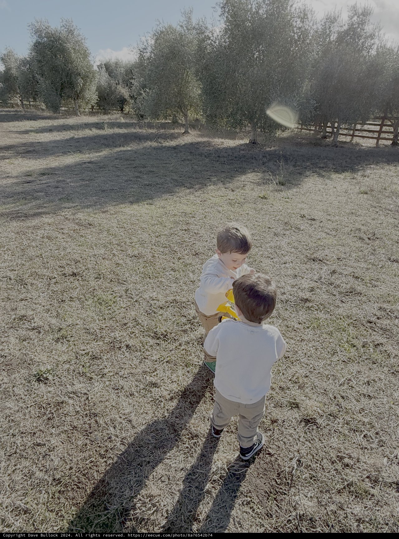 Children Playing Together in Rural Field