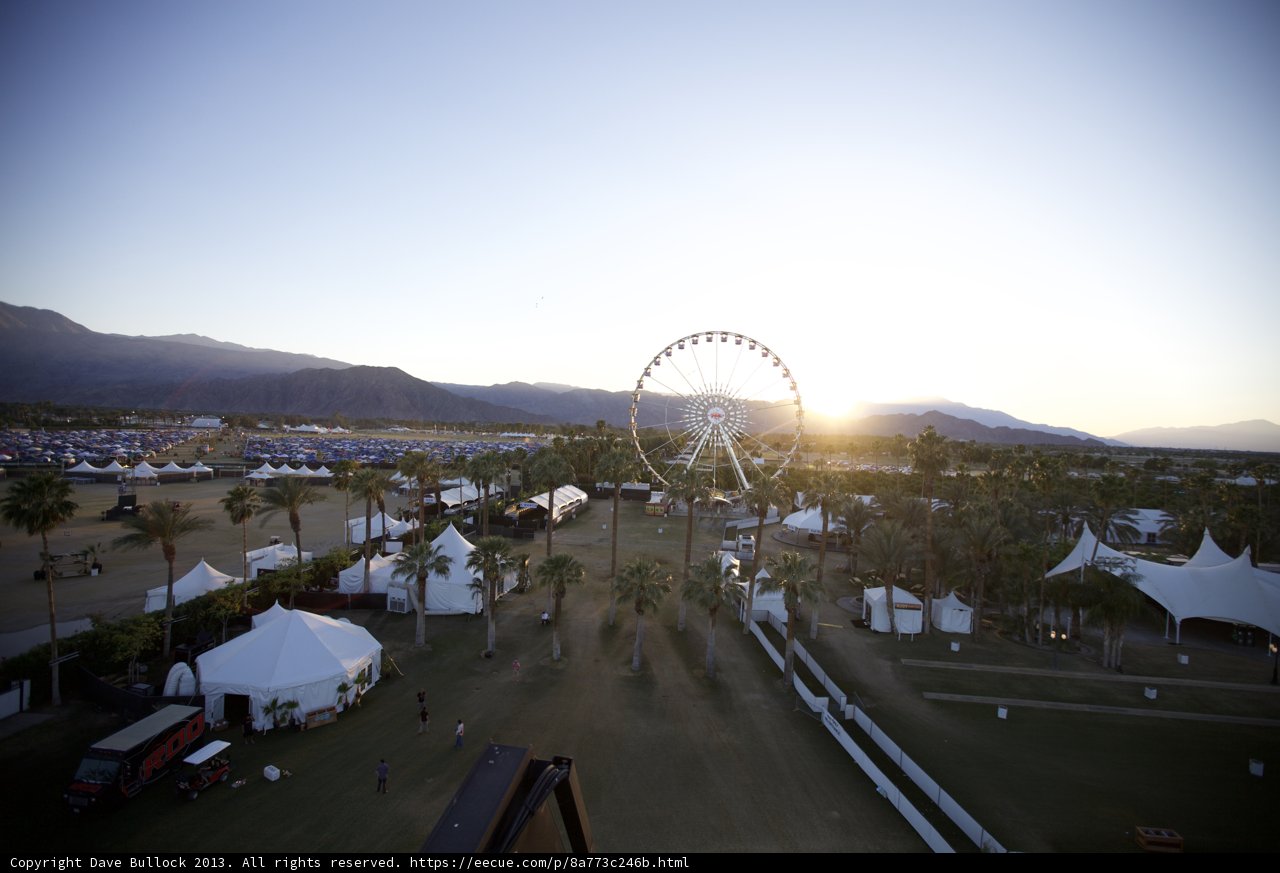 Ferris Wheel Fun in the Field