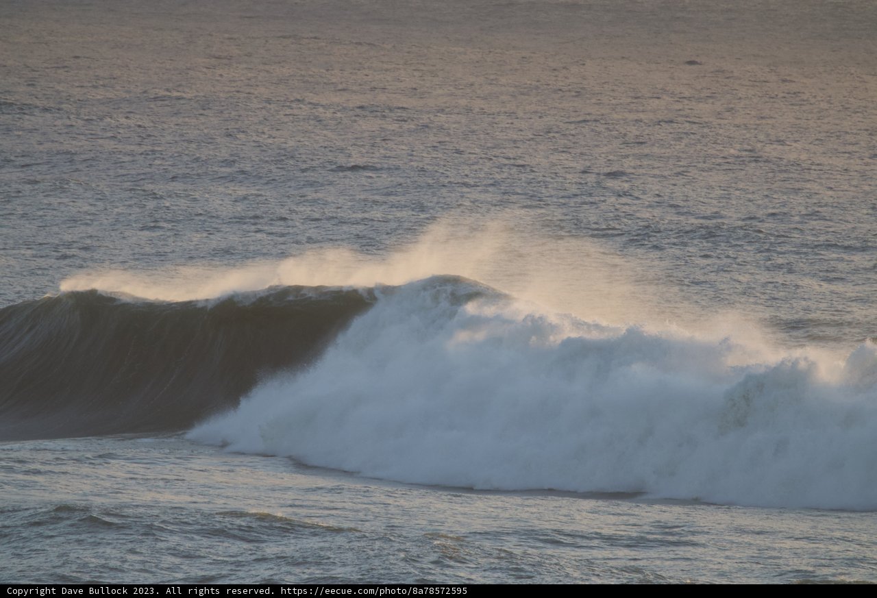 Riding the Majestic Mavericks: Surfing 2023