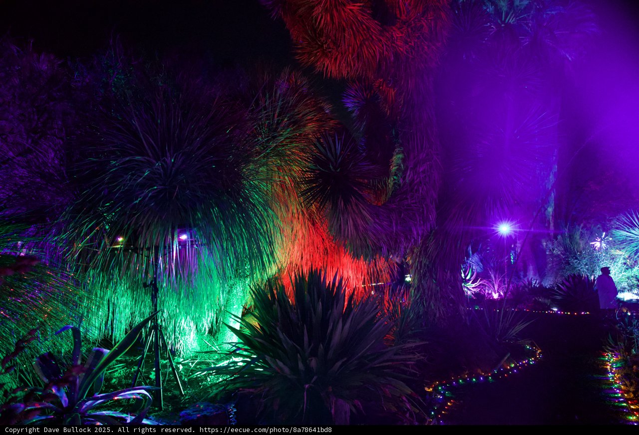 Enchanted Nightscape at Garden of D'Lights