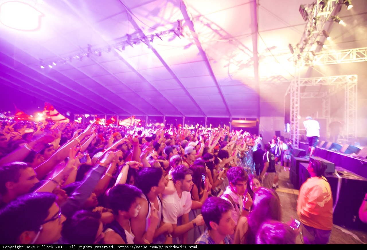 Electric Nightlife at Coachella