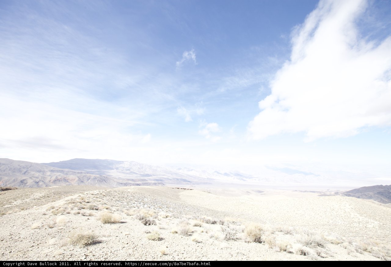 Solitude in the Desert