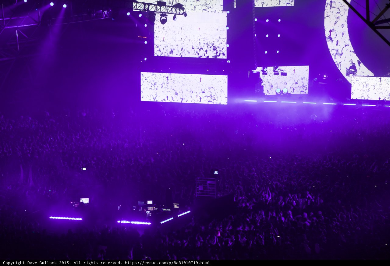 The Purple Spotlight