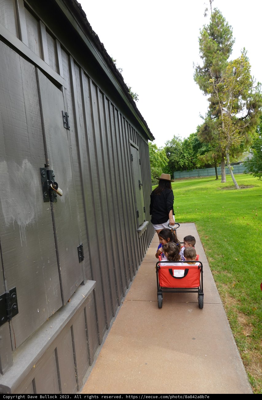City Stroll: A Man, His Dogs, and their Cart