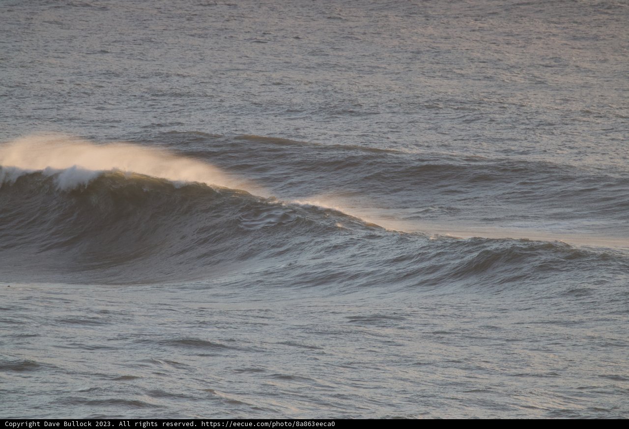 Maverick Wave Rider 2023